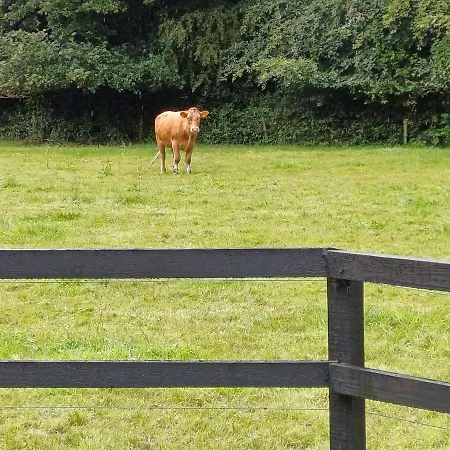 Lara, W23p9h6 Privat bolig Maynooth